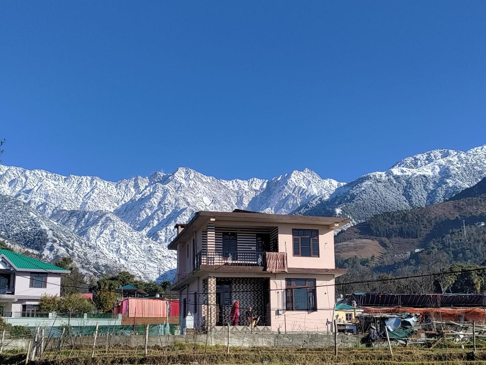 Homestay Palampur View Exteriör bild