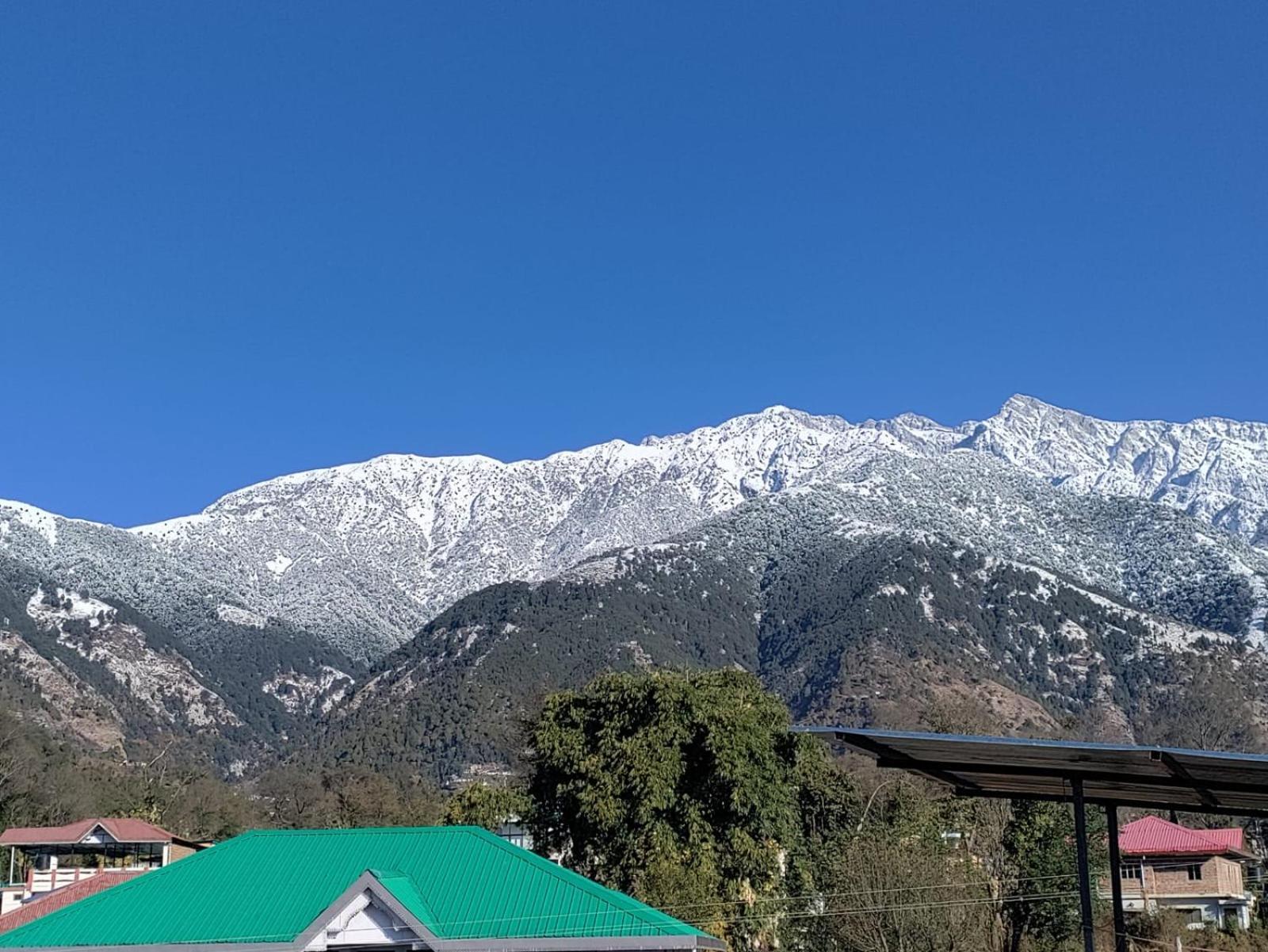 Homestay Palampur View Exteriör bild