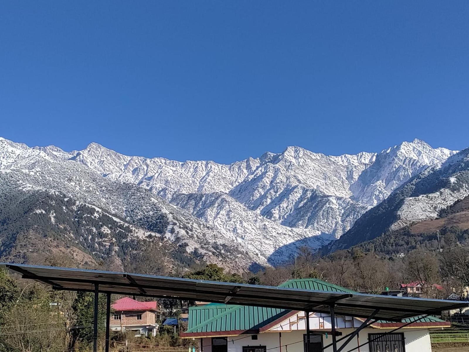 Homestay Palampur View Exteriör bild