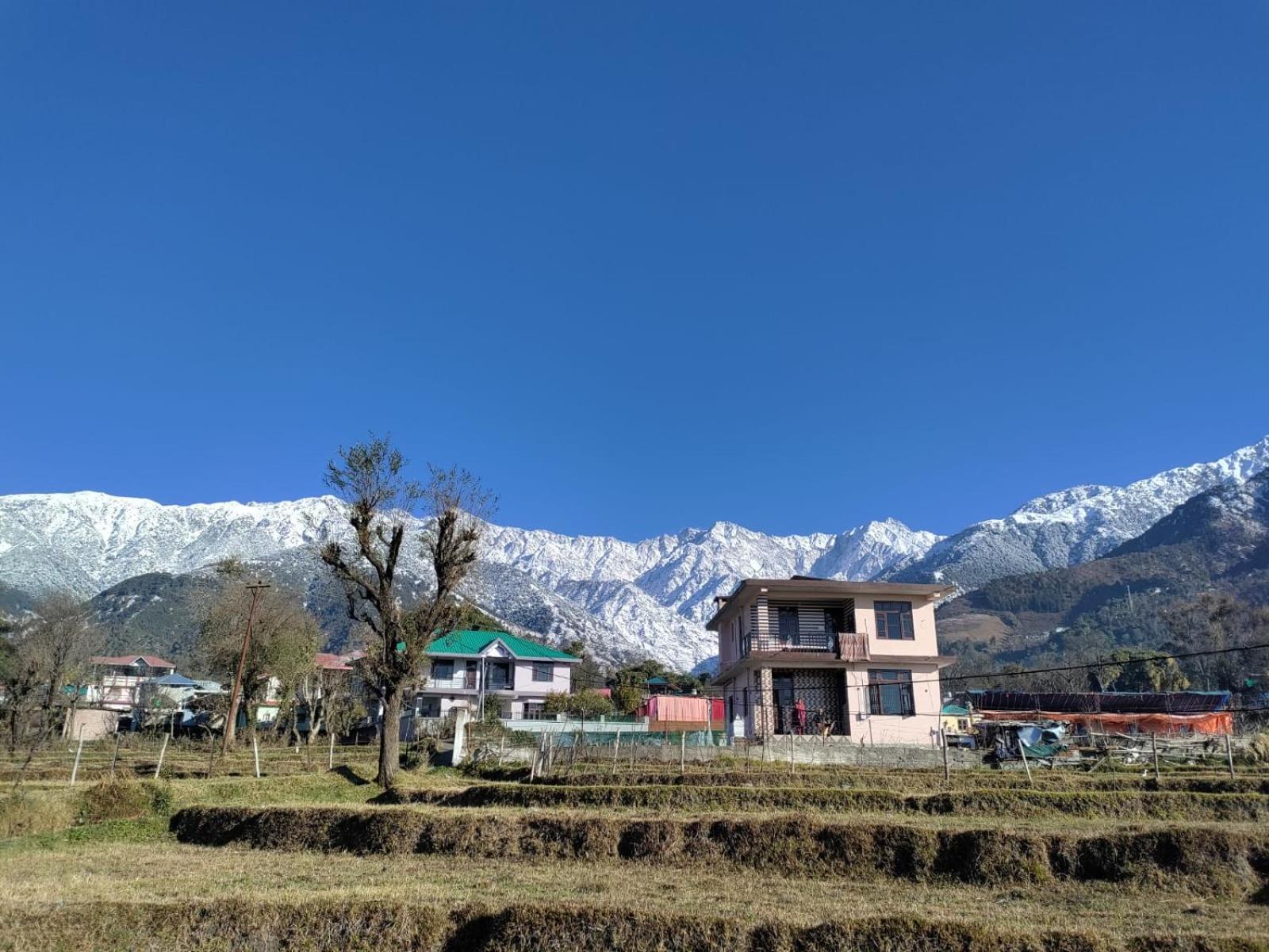 Homestay Palampur View Exteriör bild