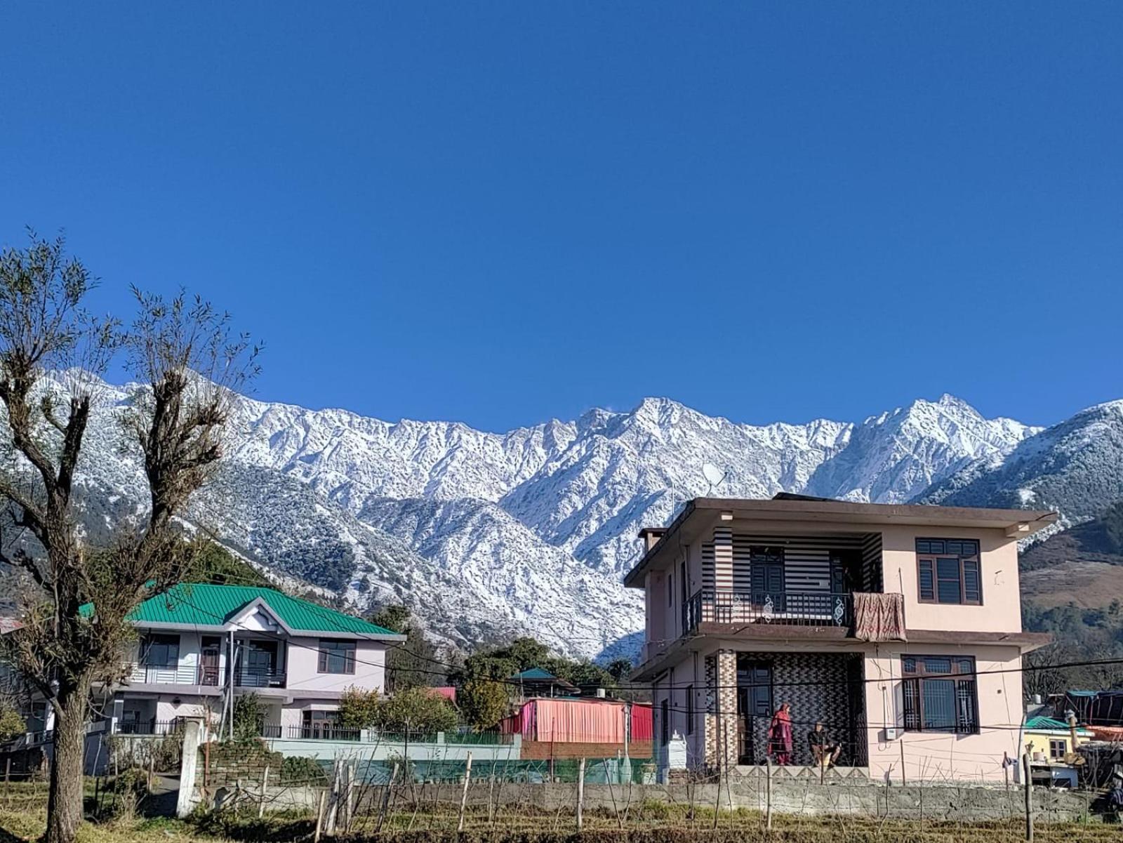 Homestay Palampur View Exteriör bild