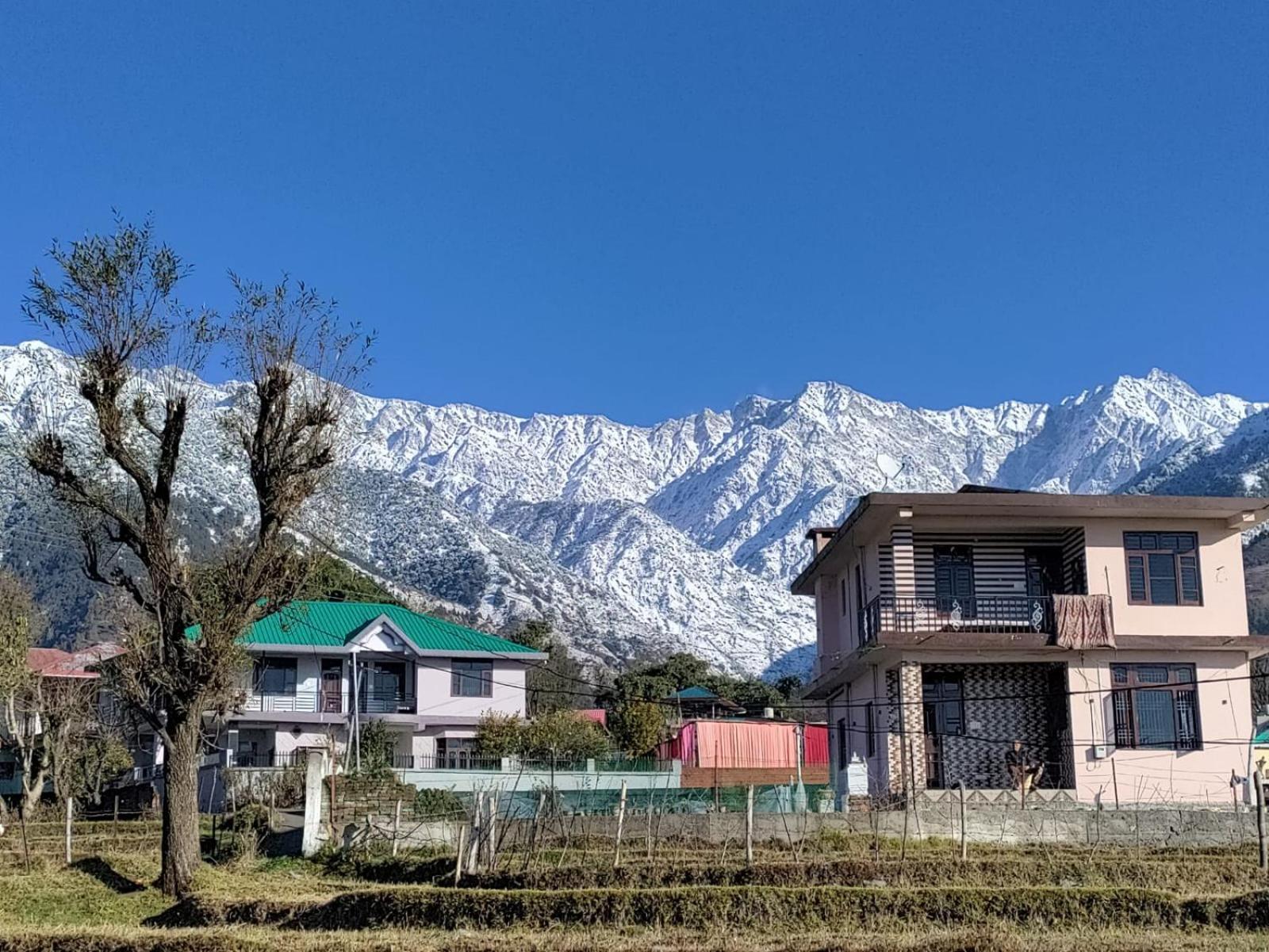 Homestay Palampur View Exteriör bild